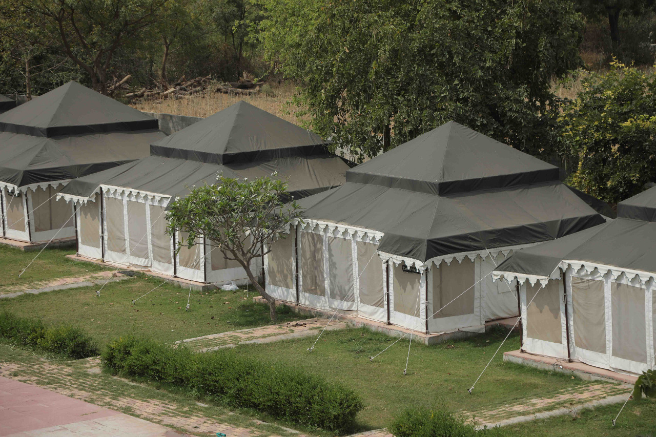 ranthambore national park safari hotels